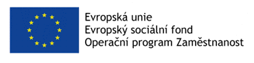 evropská unie